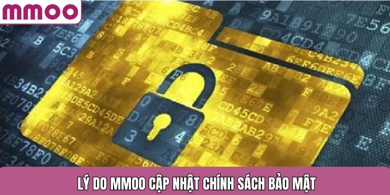 Lý do MMOO cập nhật chính sách bảo mật